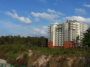 Гостиница Apartments LuxView II  Дзивнувек